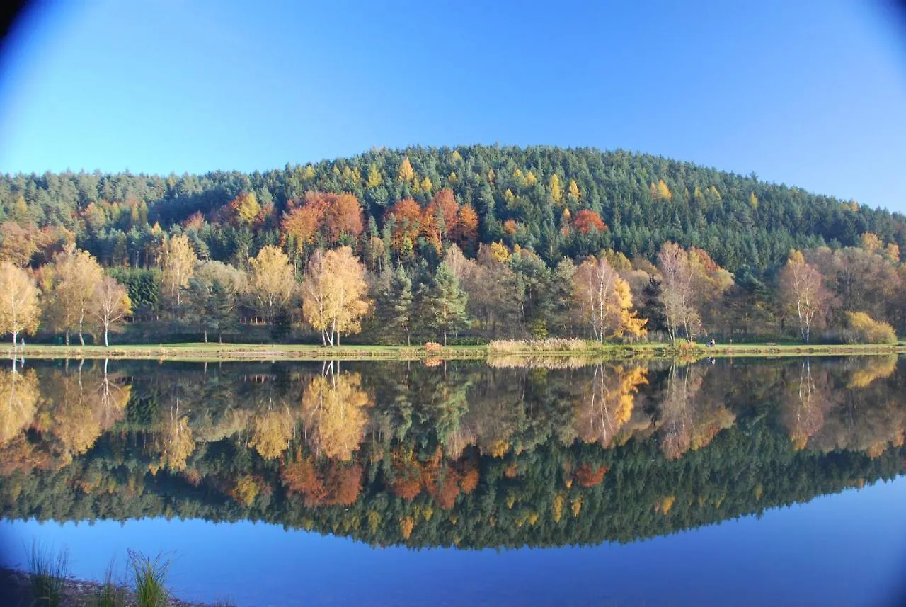 Pension & Metzgerei Friedrich Trebgast 2*,  Germany