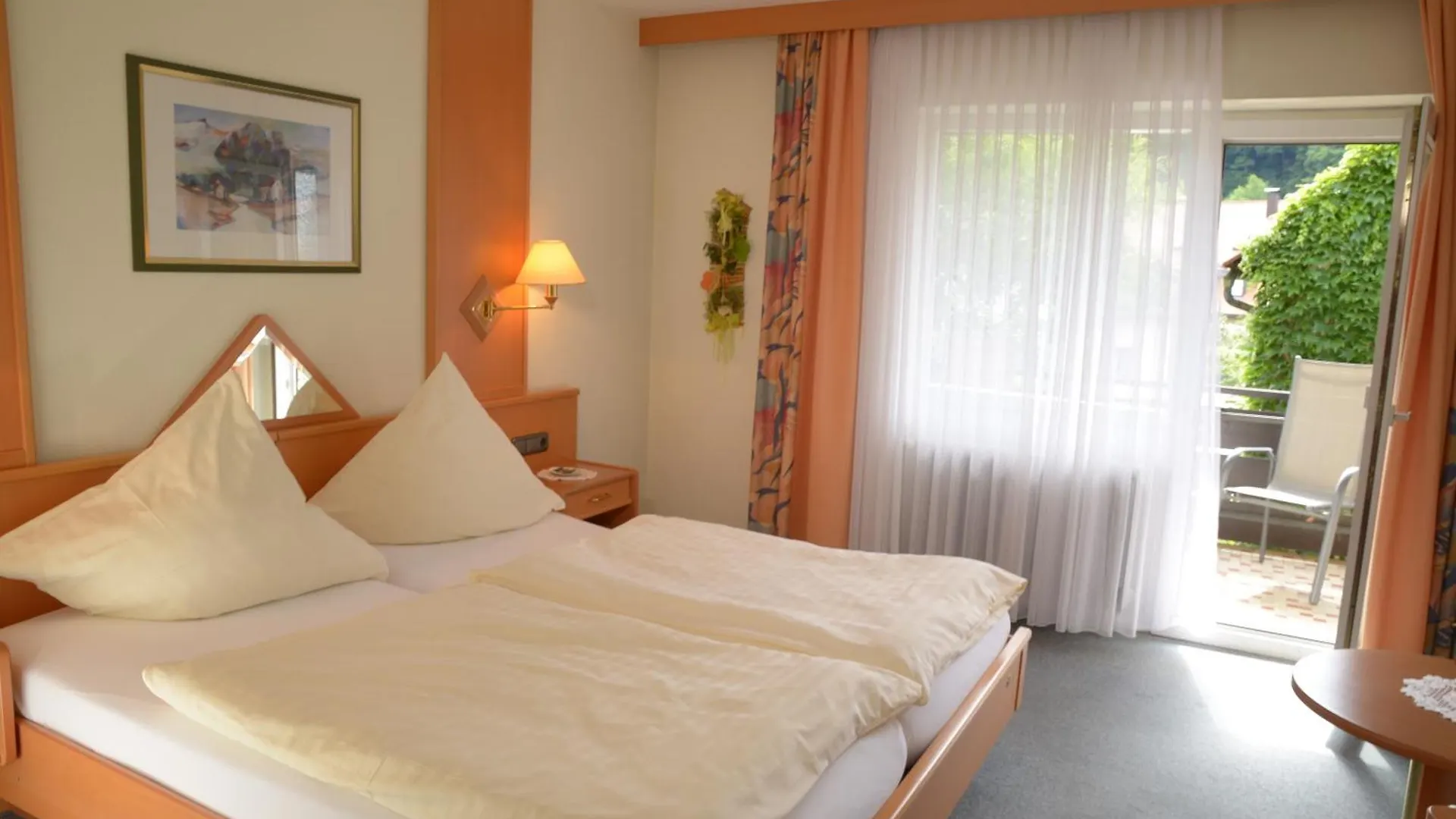 Pension & Metzgerei Friedrich Trebgast Guest house